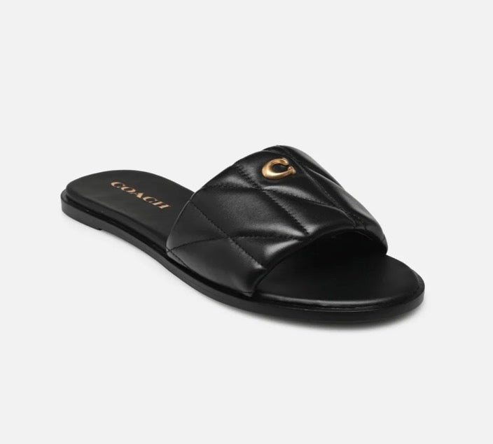 C Slides