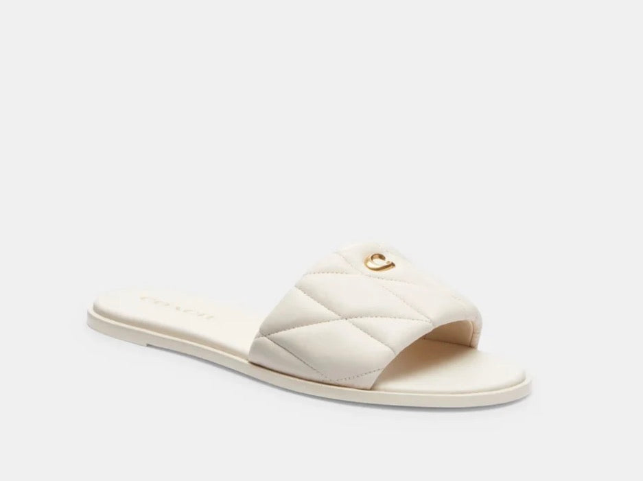 C Slides